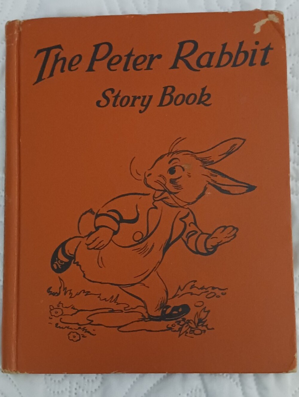 1935 The Peter Rabbit Story Book - Colorful Illustrations By Bessie Goe Willis